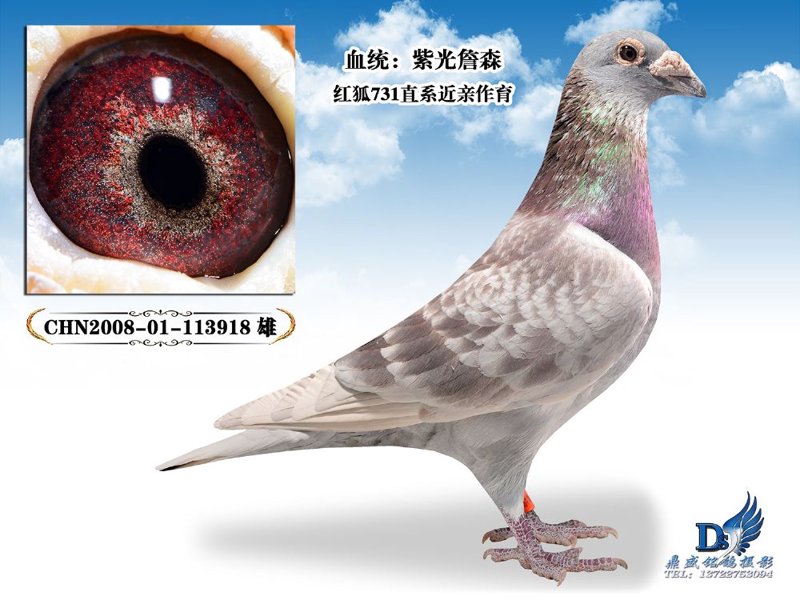 江西文化传媒行业的最新动态